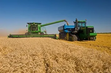 пшеница 3,4,5 класс по оптовым ценам в Балашове