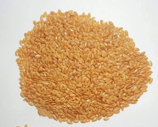 фотография продукта Семена льна масличного сорт Еруслан