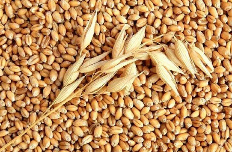 Фотография продукта 3.4.5 класс пшеница
