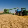 пшеница 3,4,5 класс по оптовым ценам в Балашове