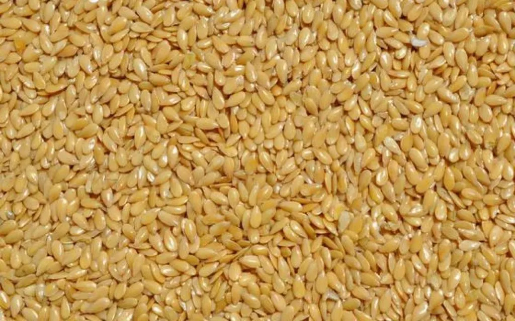 продажа зерна в Саратове 21