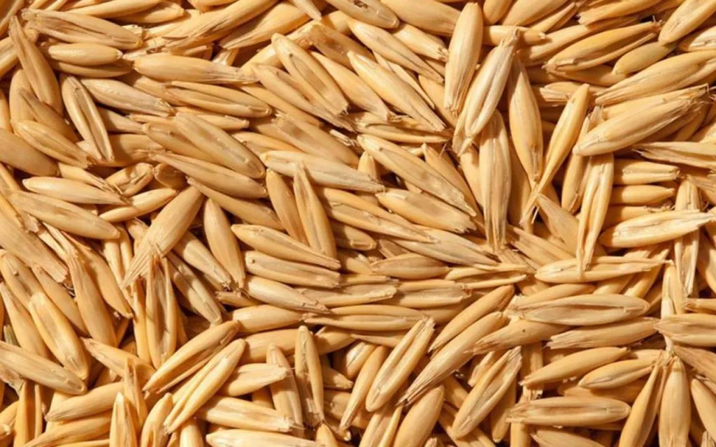 продажа зерна в Саратове 14