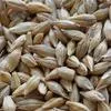 продажа зерна в Саратове 10