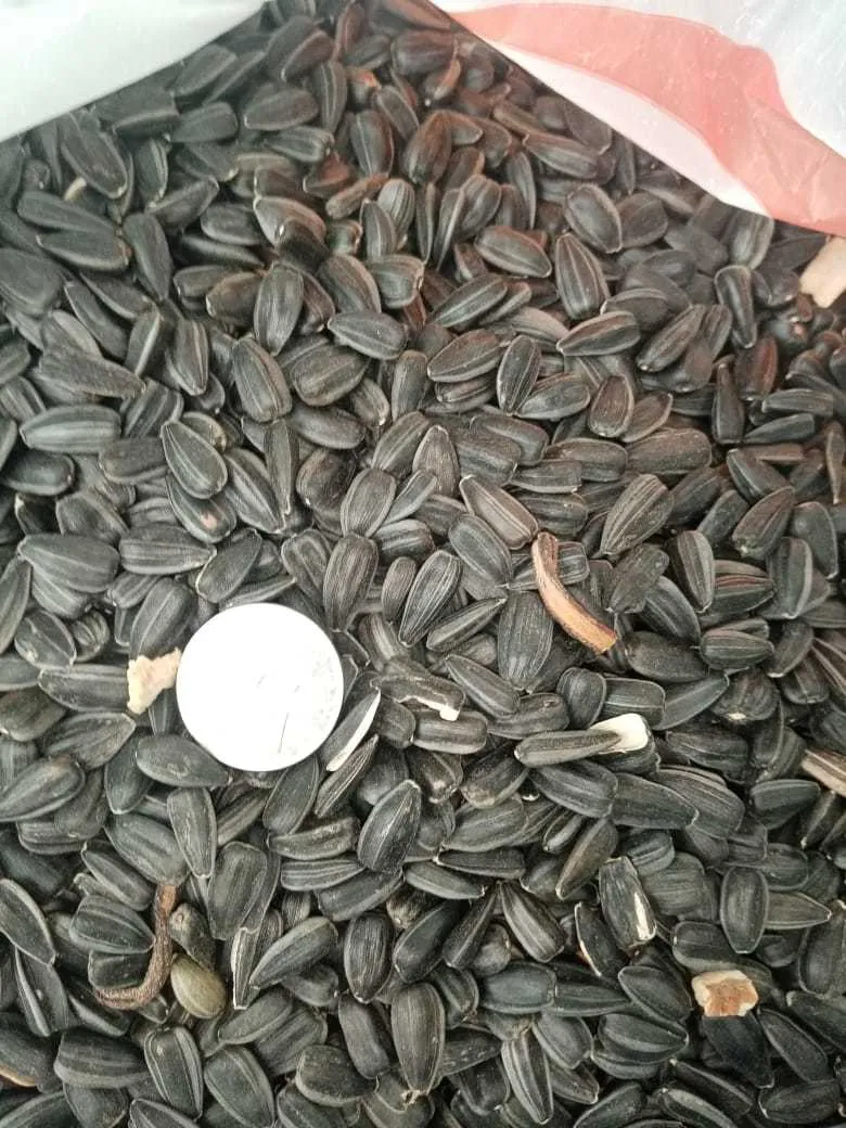 фотография продукта Семечки подсолнечника калиброванные