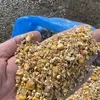 кукуруза в Саратове 3